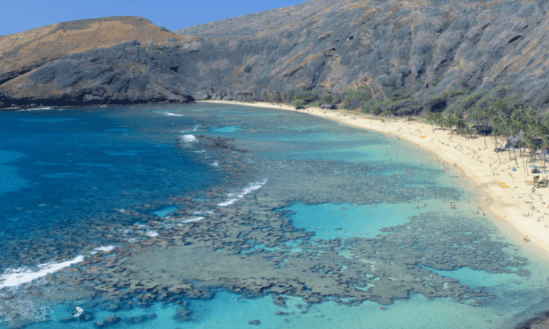 Oahu Circle Island Tour 