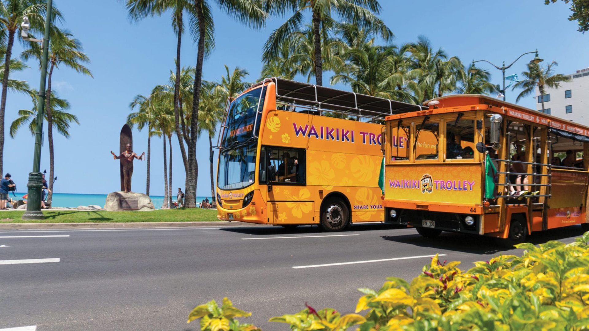 Top Things to Do in Waikiki with Kids | Real Hawaii Tours