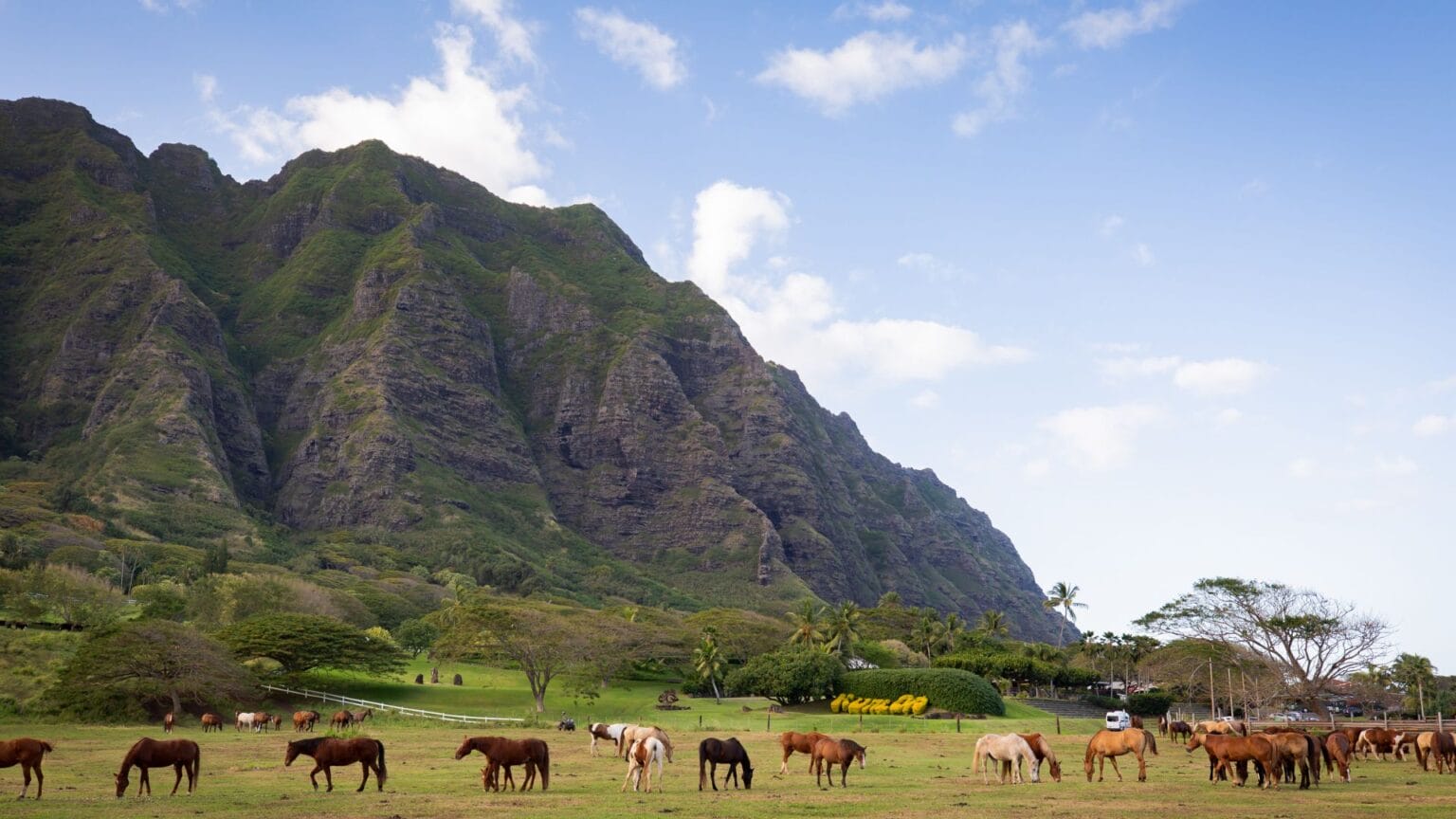 How Far is Kualoa Ranch from Waikiki: Full Guide - Real Hawaii Tours