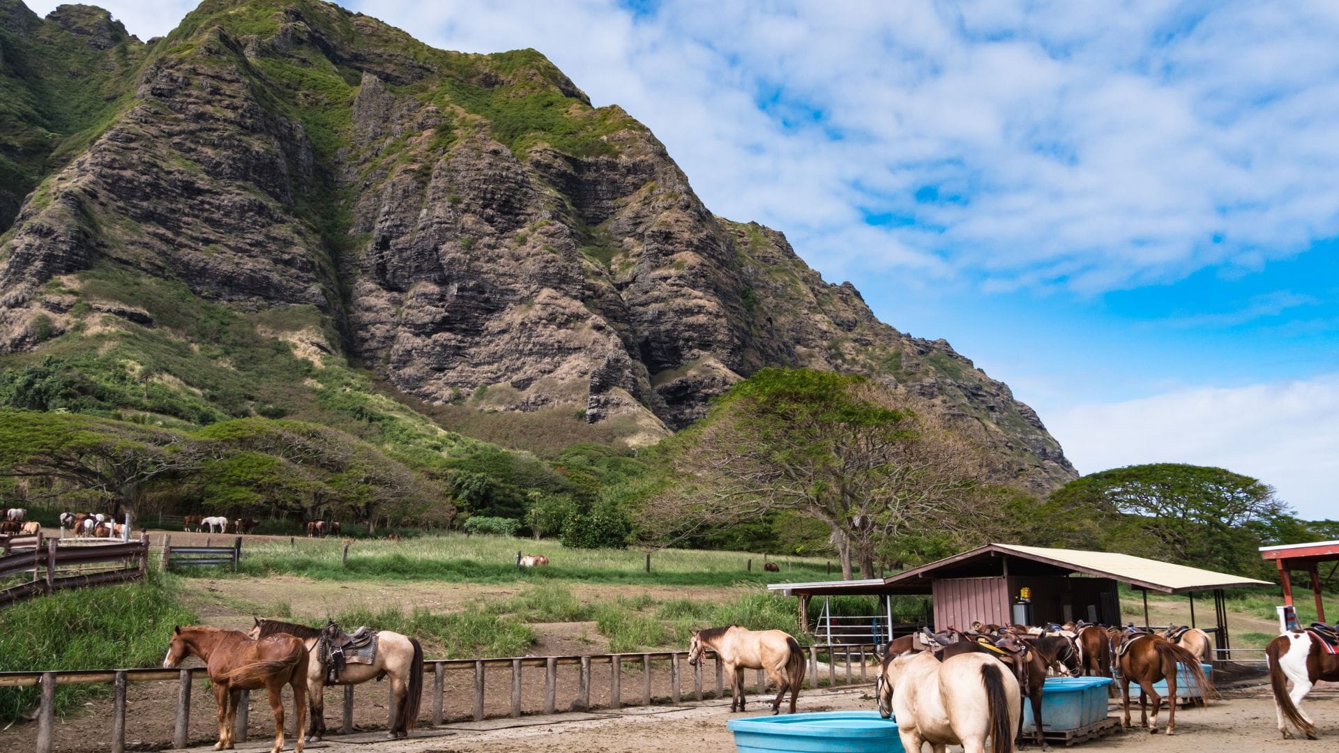 Romantic-things-to-do-Oahu