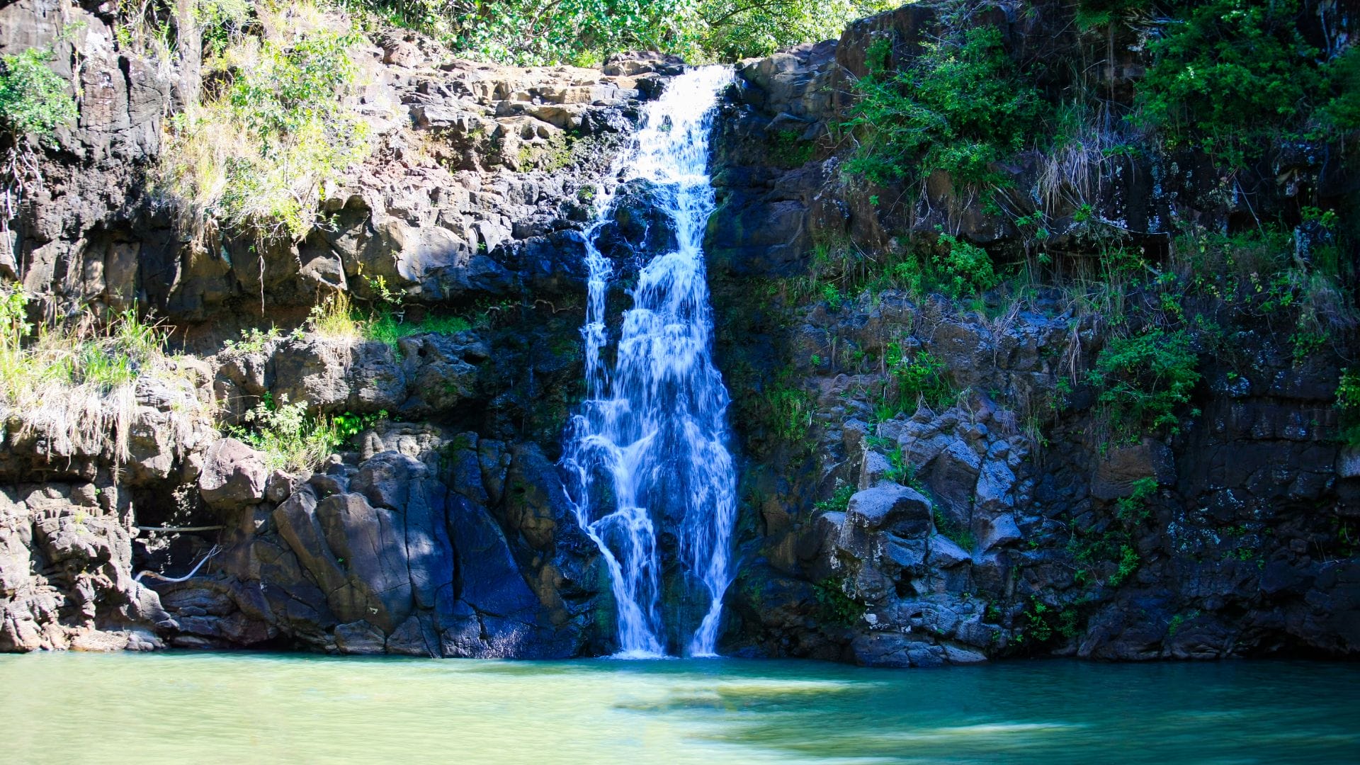 Conclusion Waimea Falls Oahu Hike