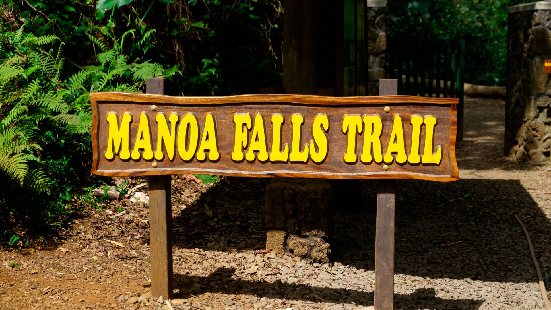 Complete Guide to the Manoa Falls Hike Oahu Adventure - Real Hawaii Tours