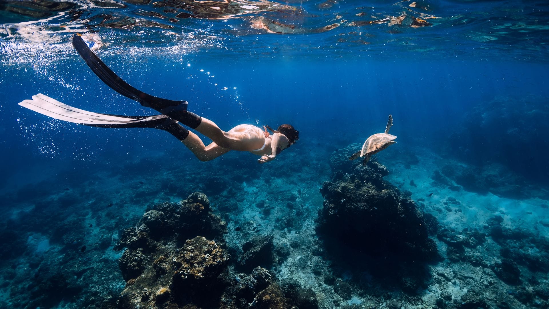 Waikiki Snorkel Tour