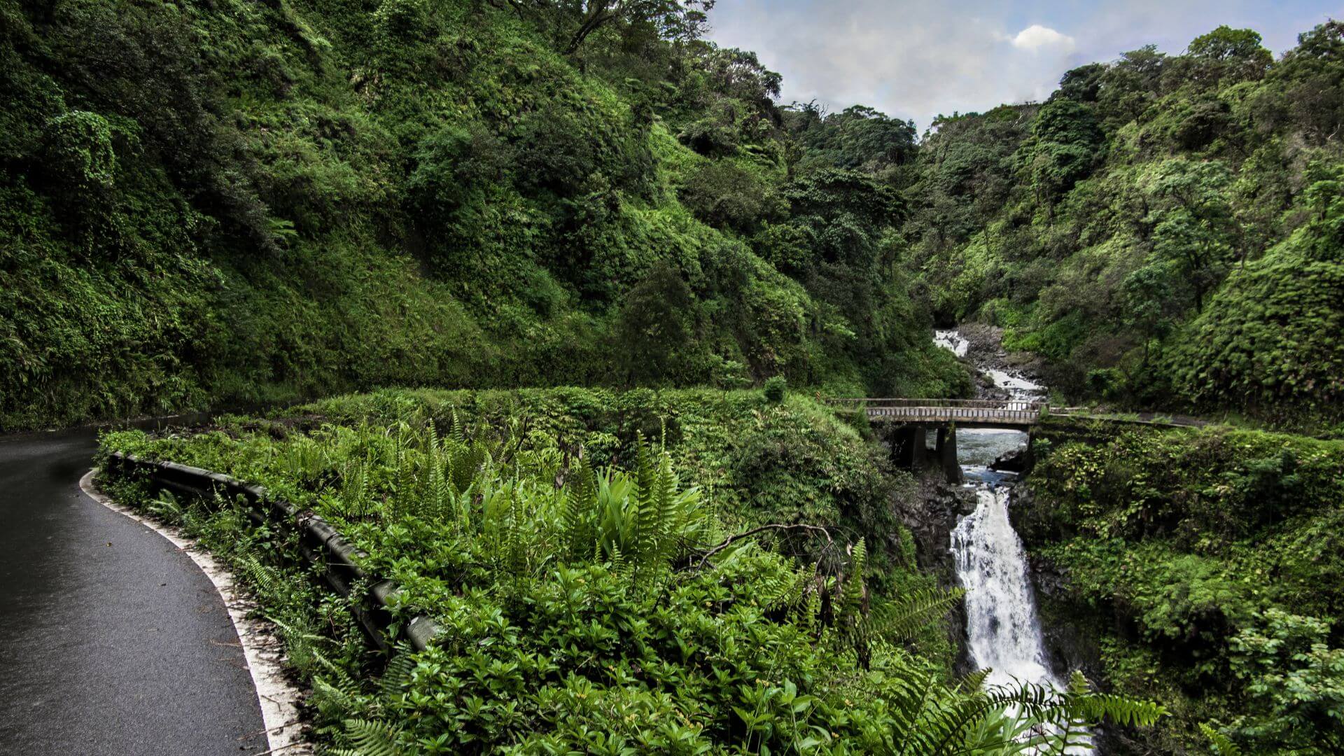 The-Road-to-Hana-Experience