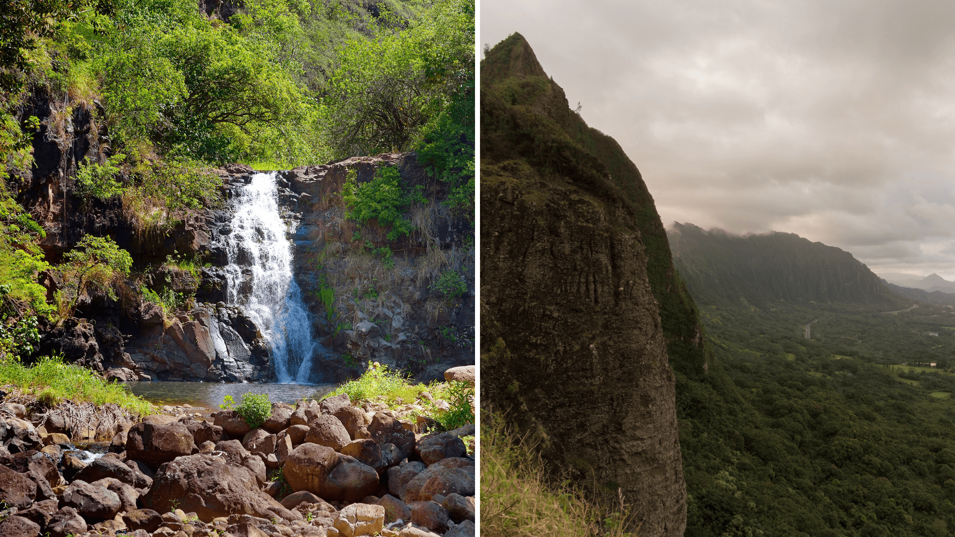 Circle Island Tour w/ Waimea Waterfall