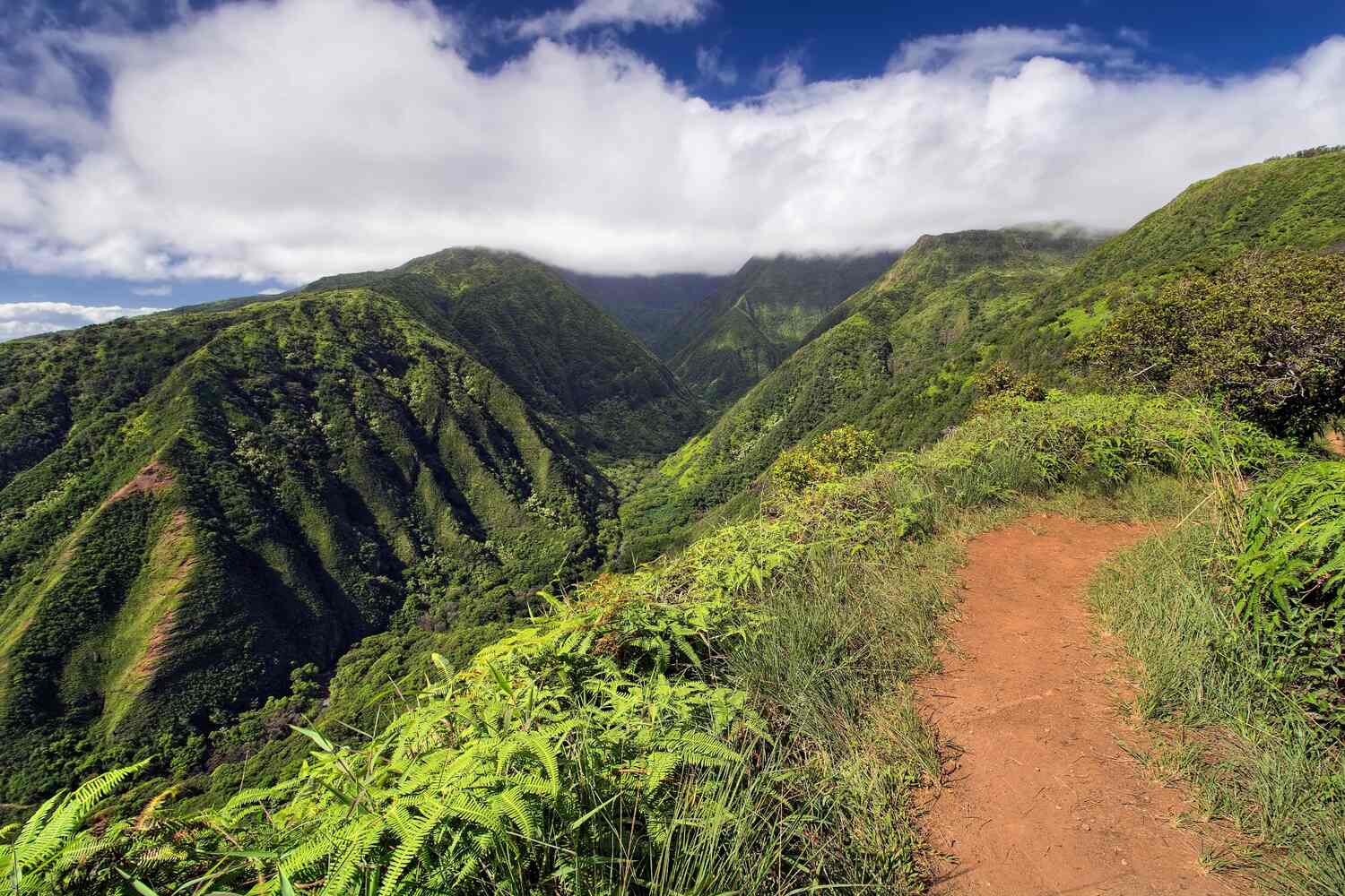 Waihe'e Ridge Trail