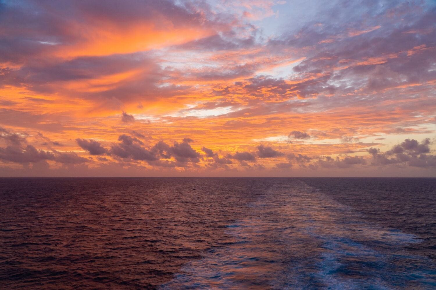 Maui sunset dinner cruise