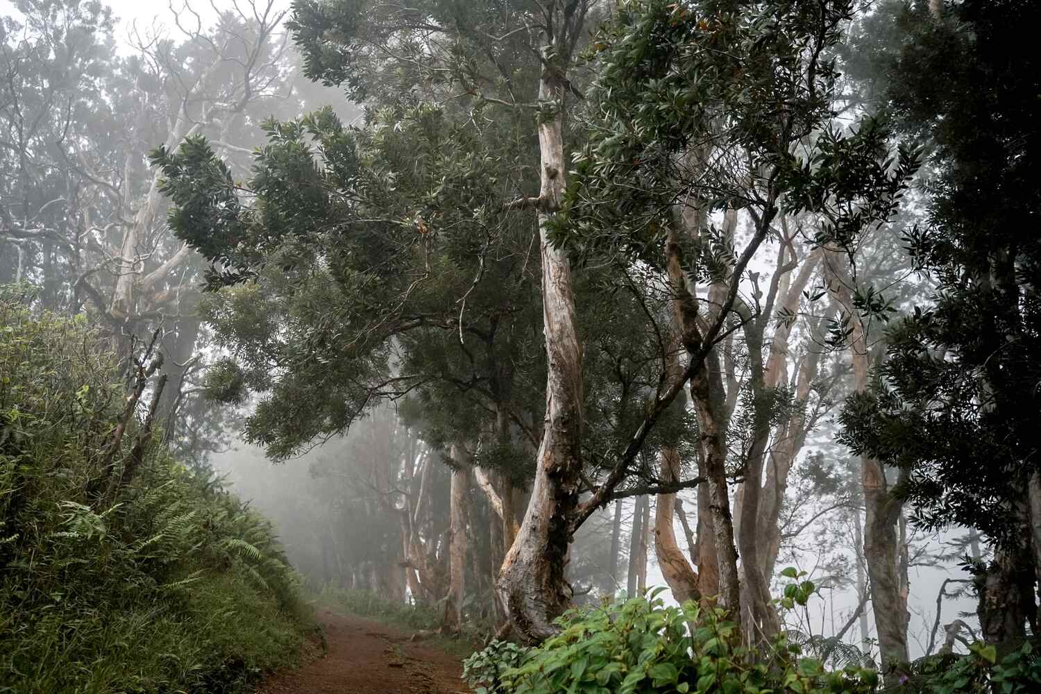 Hiking in Hawaii during storm season