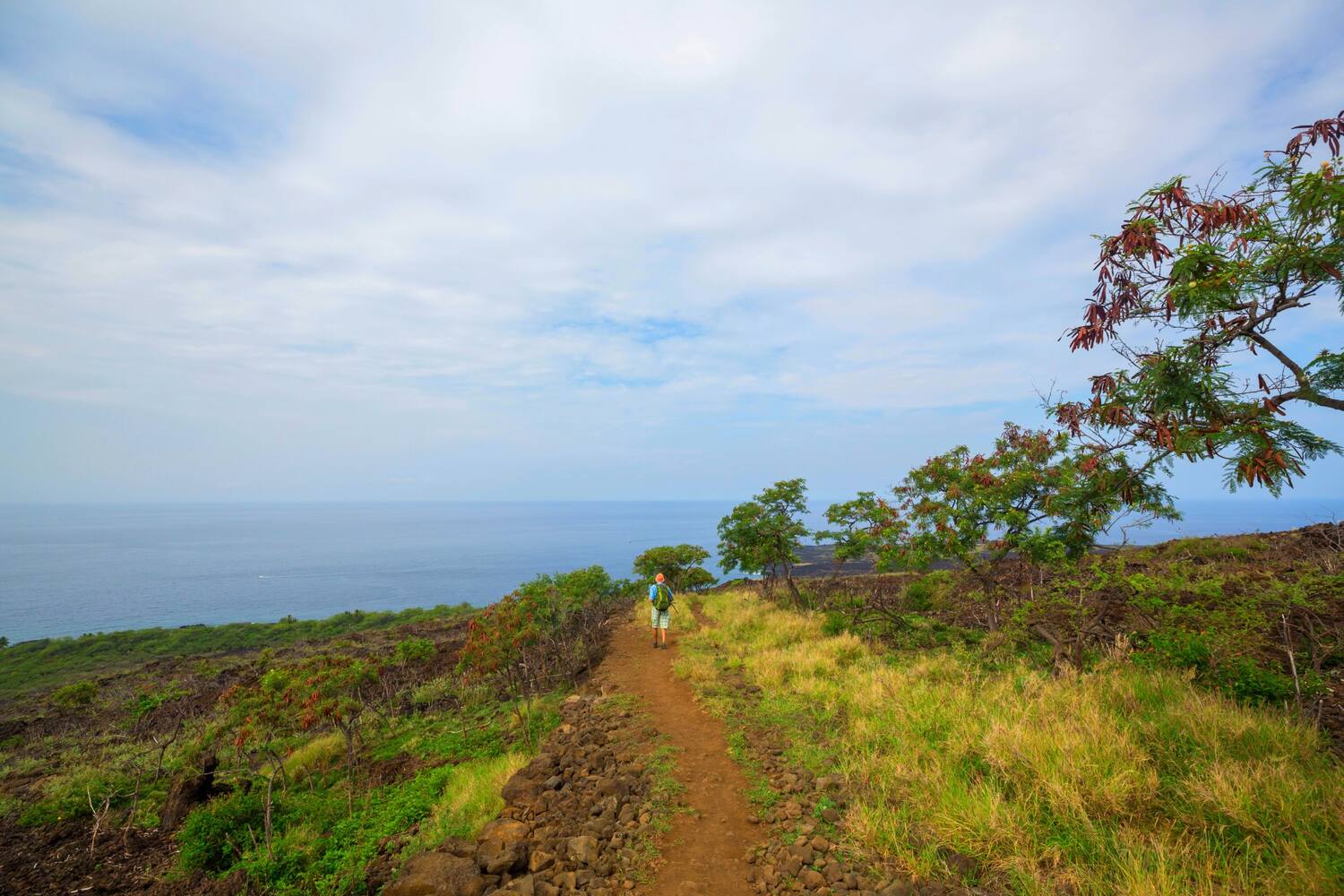 Hiking in Hawaii with kids