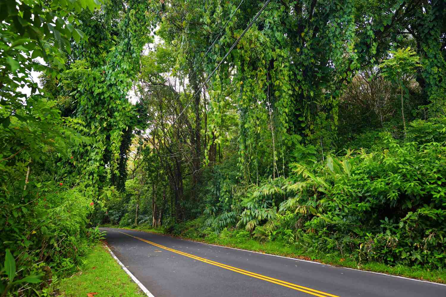 best stops on the Road to Hana