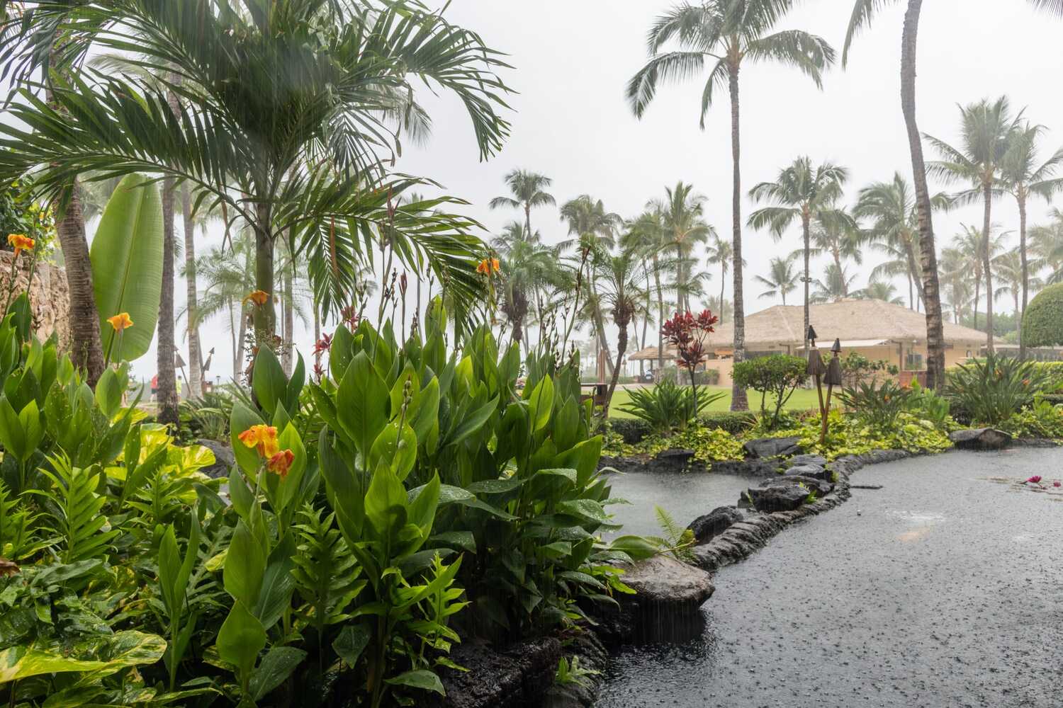 packing list for the storm season in hawaii