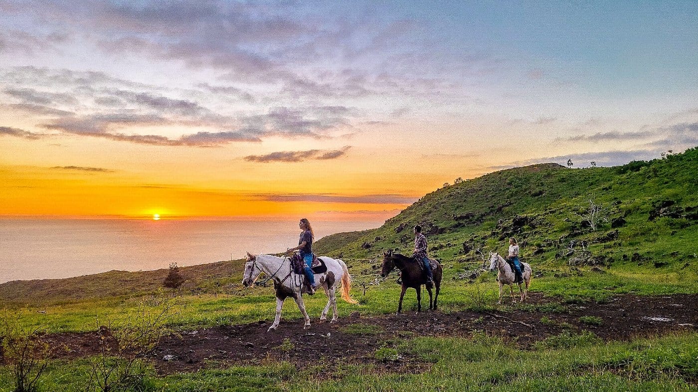 Sunset Horseback Ride