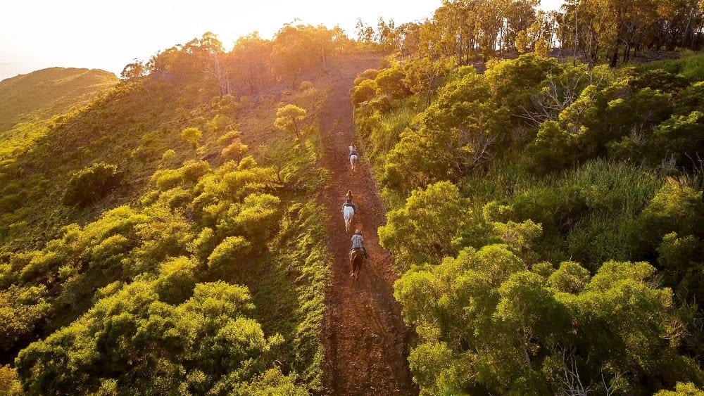  Sunshine Horseback Ride