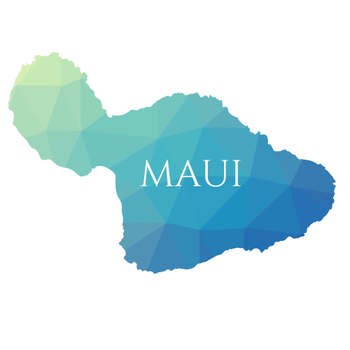 Best-Maui-Tours-and-Activities