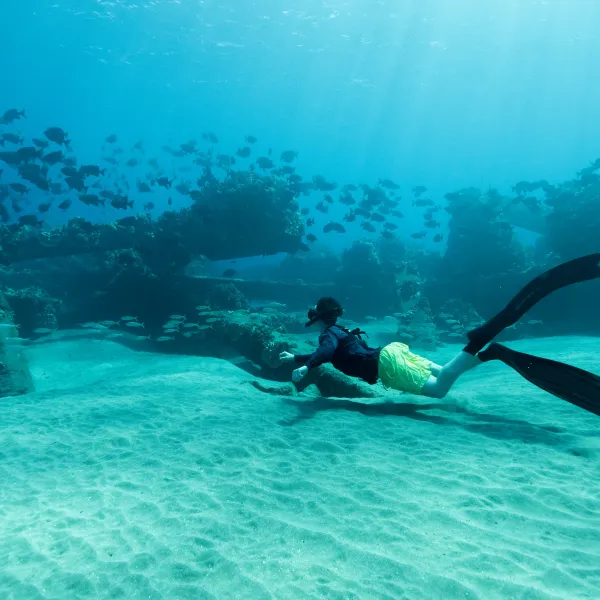 maui-snorkeling-underwater-adventure