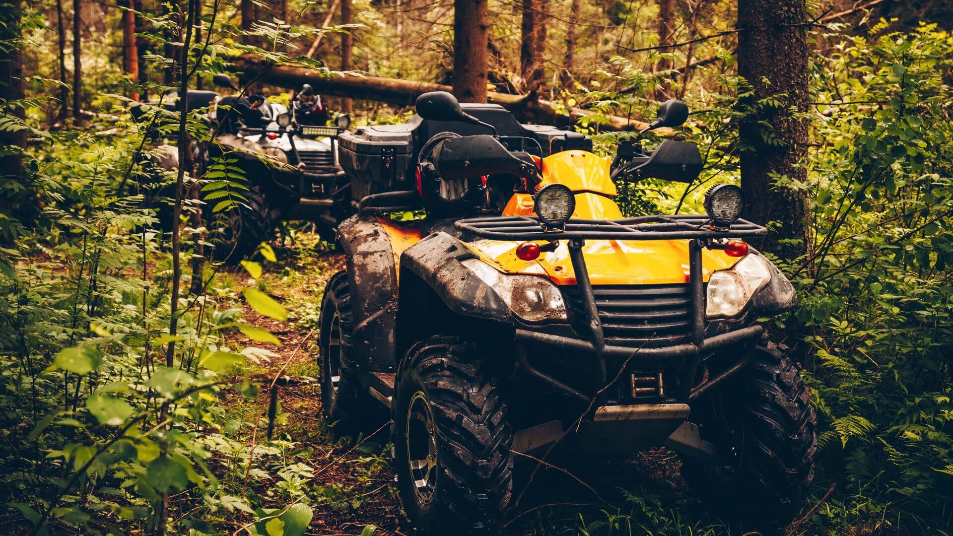 oahu-atv